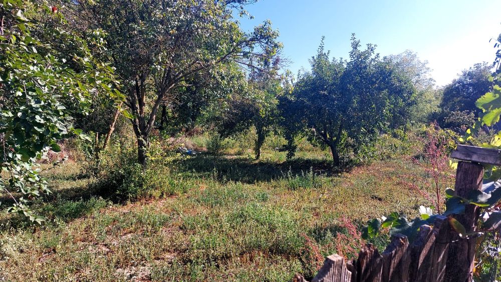 Casa 3 cam. + prispa, teren 2000mp, drum asfaltat Barcanesti(Ialomita)