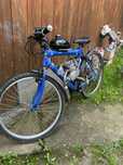 Bicicleta cu motor 80 cc 2 timpi
