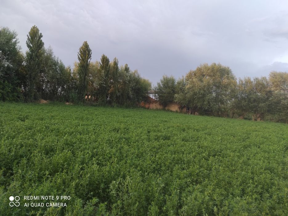 Sroʻchni uy sotiladi.