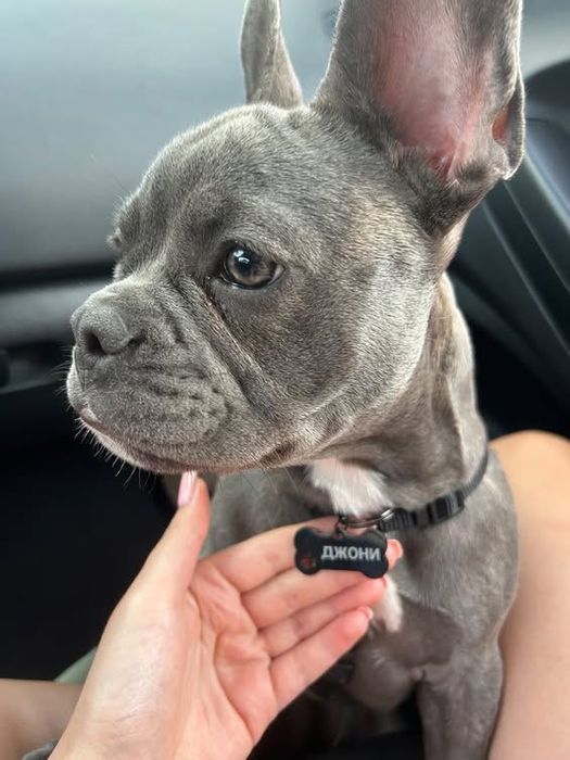 Аксесоари персонализирани