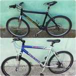 MTB original American Eagle, Giant + alte bicle