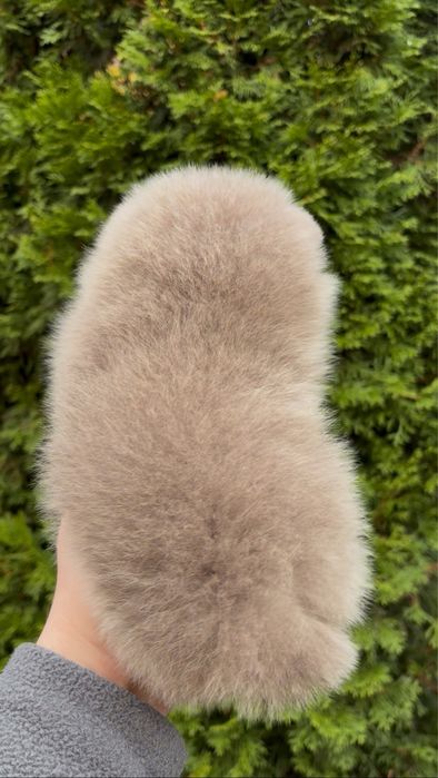 Мини померанский шпиц !