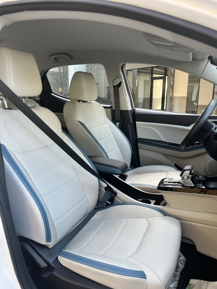 BYD Yuan Pro. Deluxe