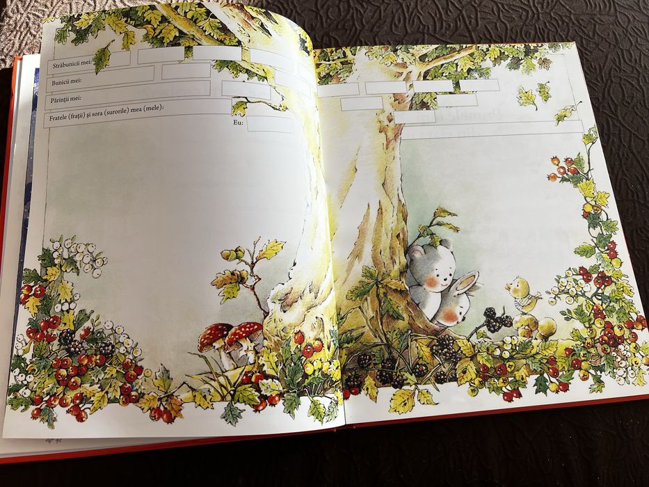 Albumul bebelusului meu