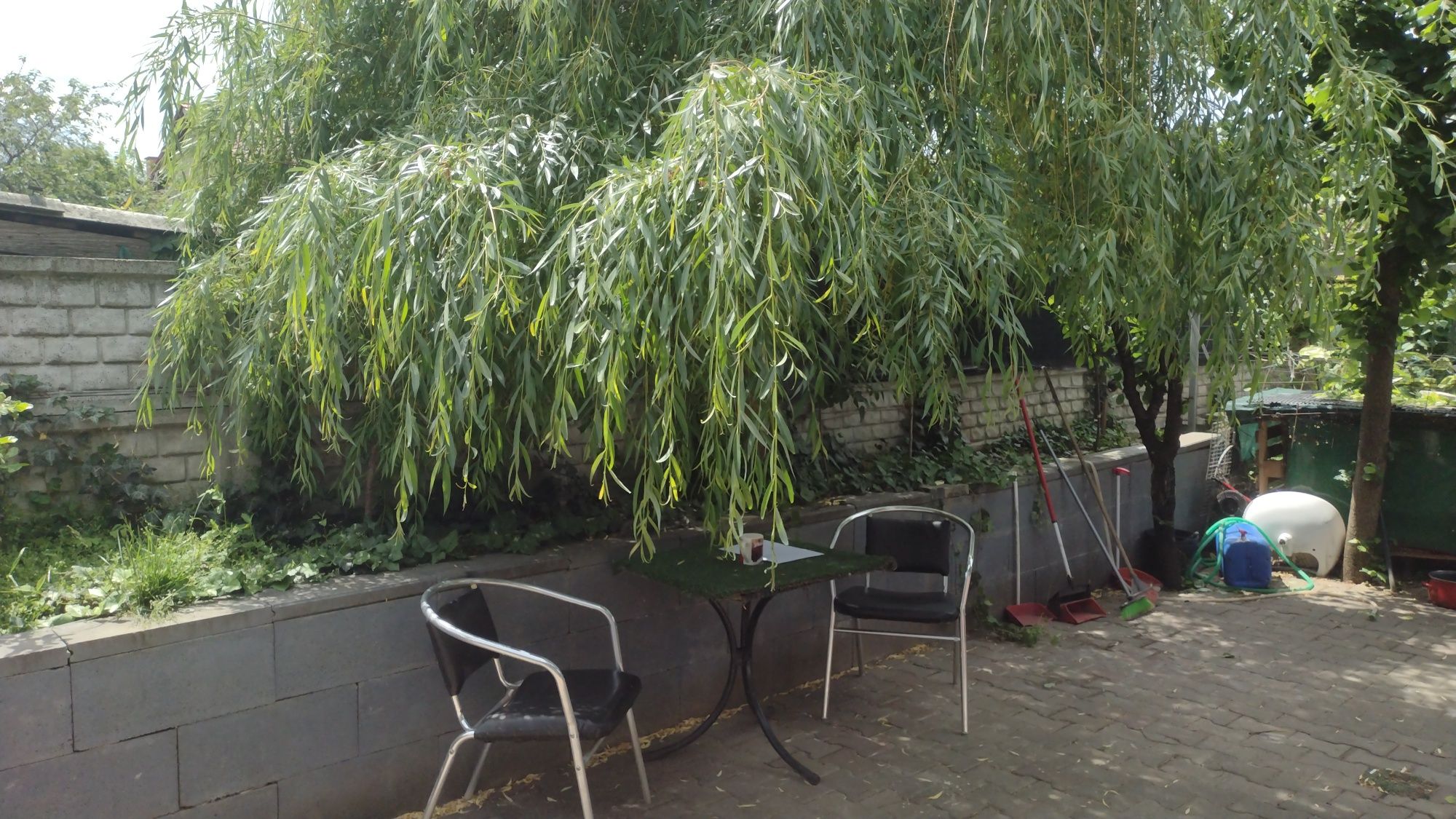 De închiriat în regim hotelier nou in Arad