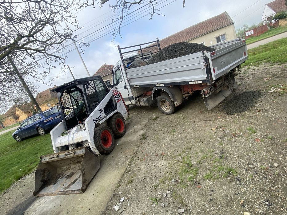 Mraniță de oaie macerată și pământ nisipos