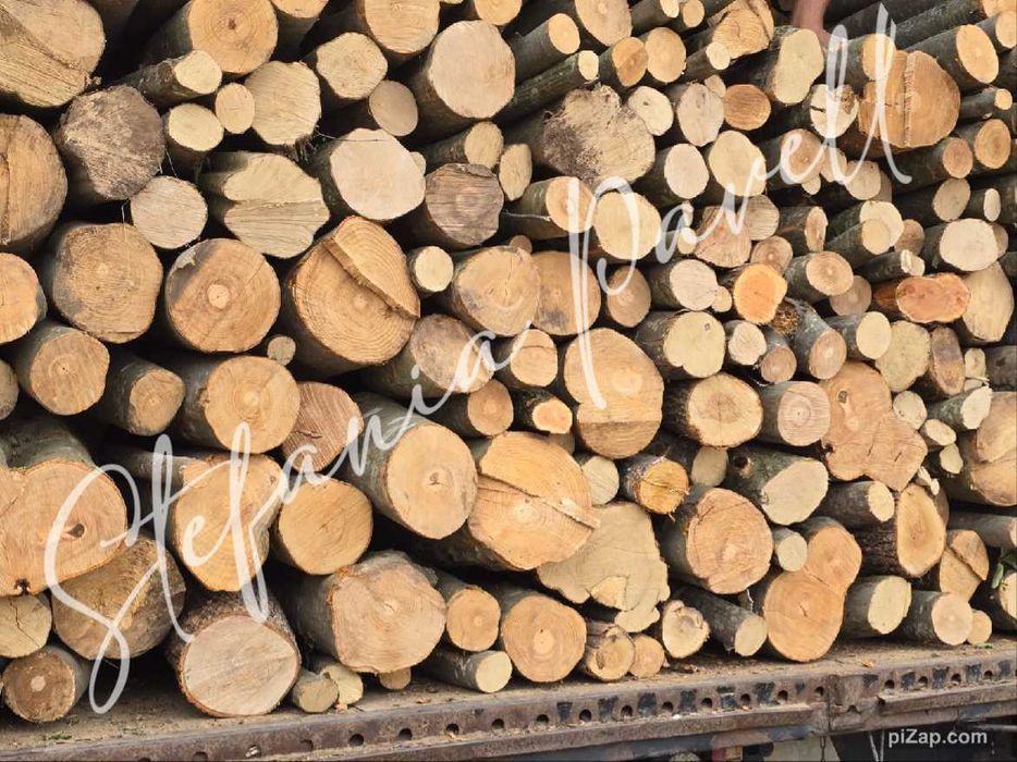 Depozit lemne de foc , linia de centura Jilava Ilfov