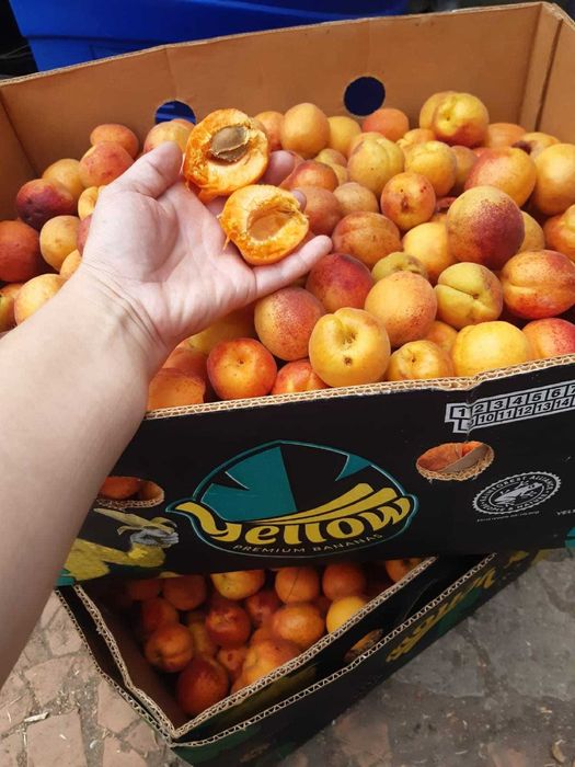 Teren intravilan 13600 mp