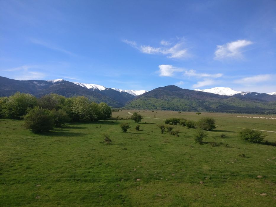Teren Valea Berivoi 50 metri de parau 4500 m2