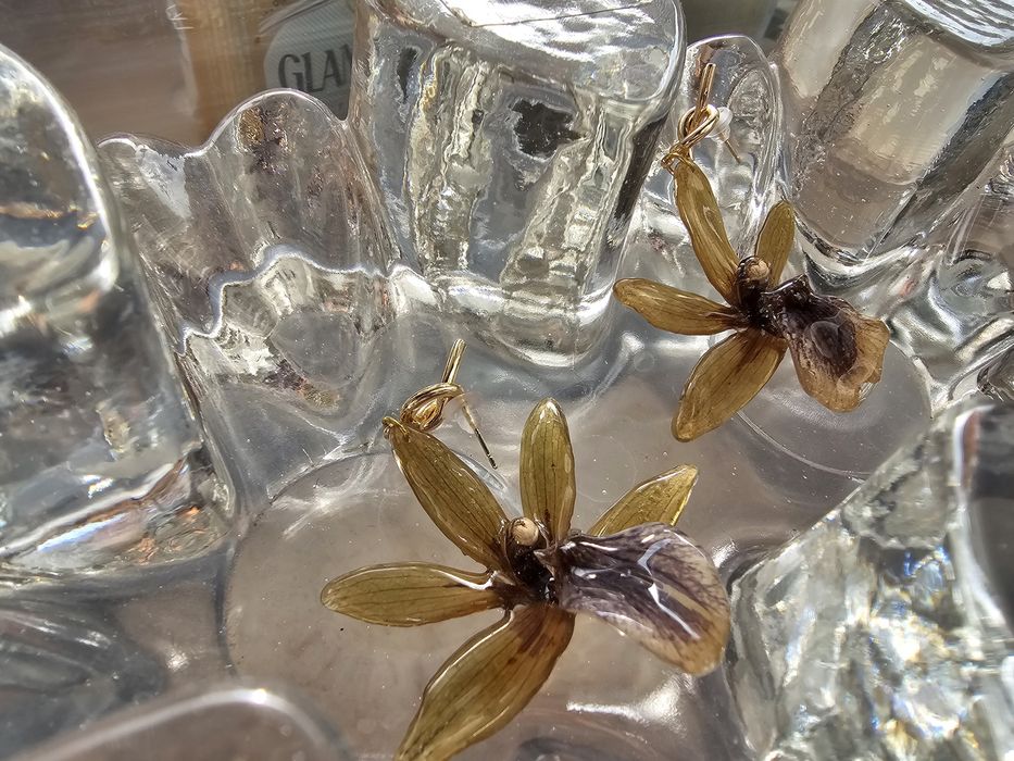 Обеци с естествен цвят на орхидея Камбрия.

Естествен цвят на орхидея