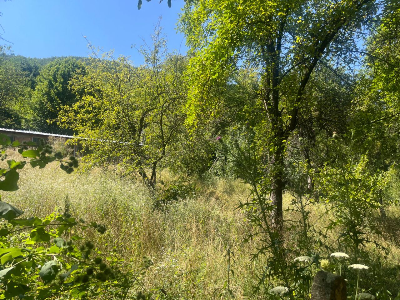 Продава се Парцел в София, Обеля 1 - 1025 кв.м за 40 €/кв.м - Снимка #5