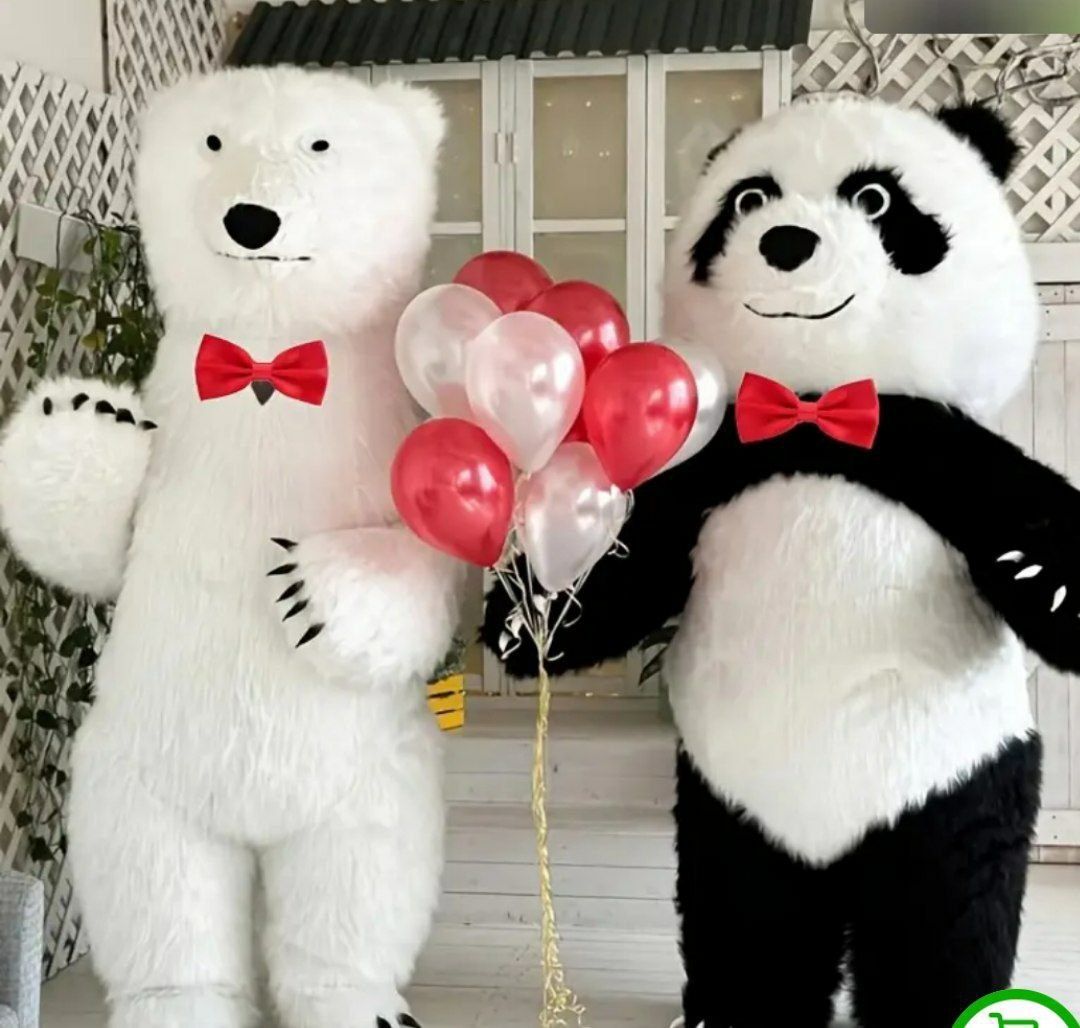 Ayiq xizmati qarshi 2025 Tugʻilgan kun raddomdan chiqarish syurprizlar