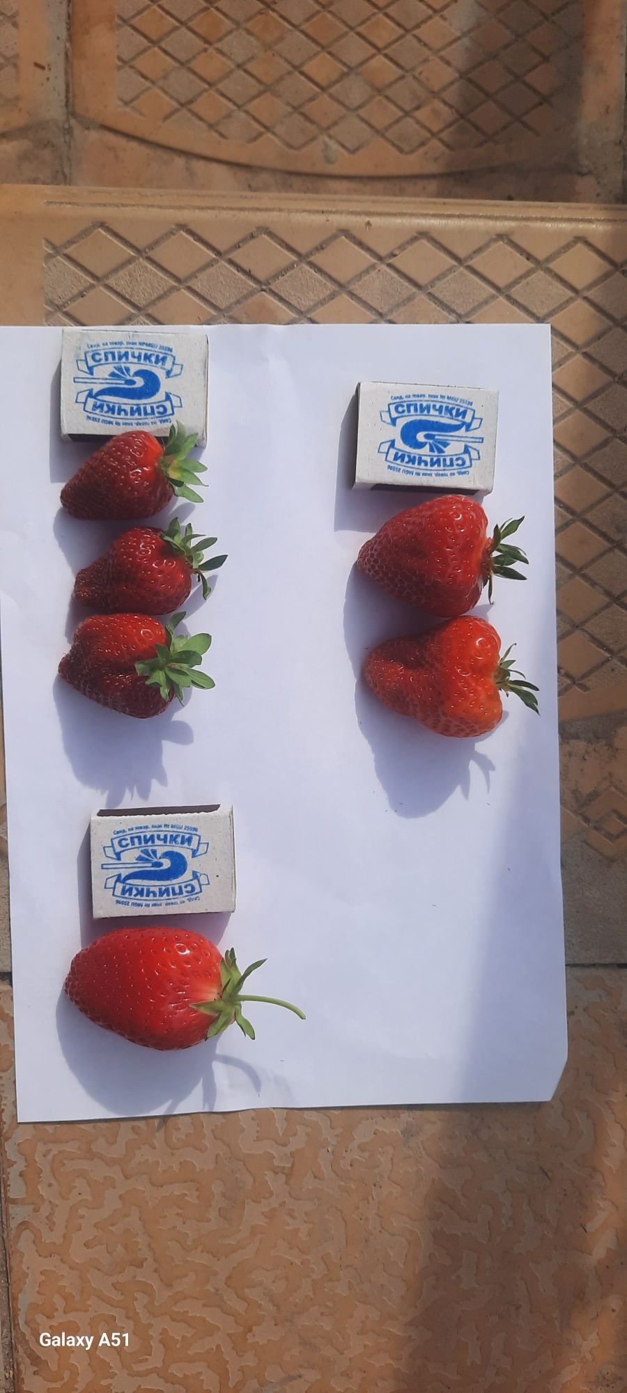 Kinsberry mevasi bor 5-10kg kun ora