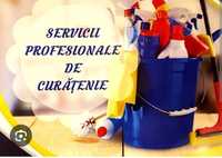 Servicii profesionale de curățenie