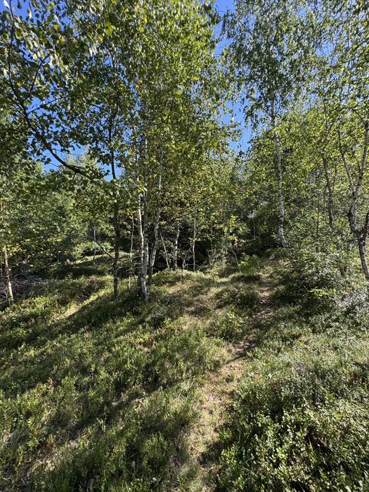 Teren intravilan de vânzare – Dealu Negru, zonă de munte