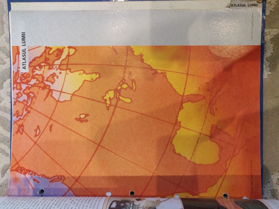 Arborele lumii - 3 bibliorafturi