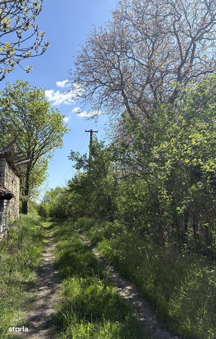 Teren intravilan de vanzare 1000mp, Prunis, 17km de Cluj