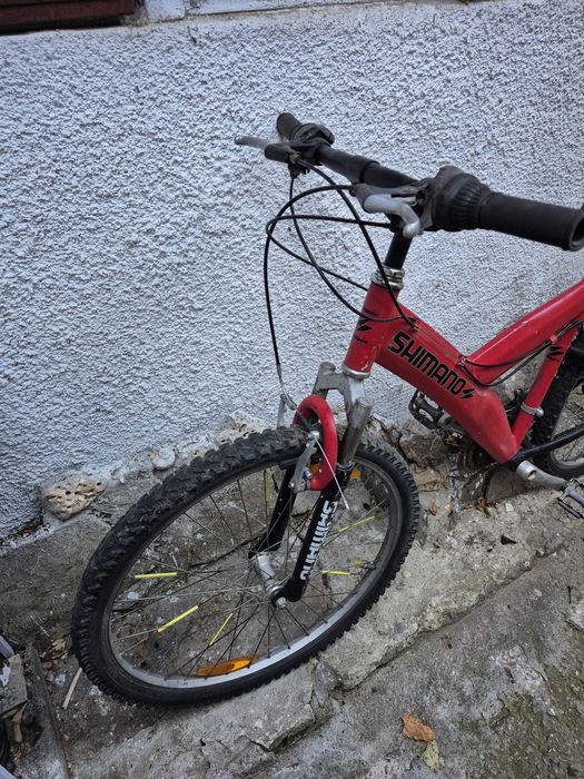 Bicicleta adolescenti