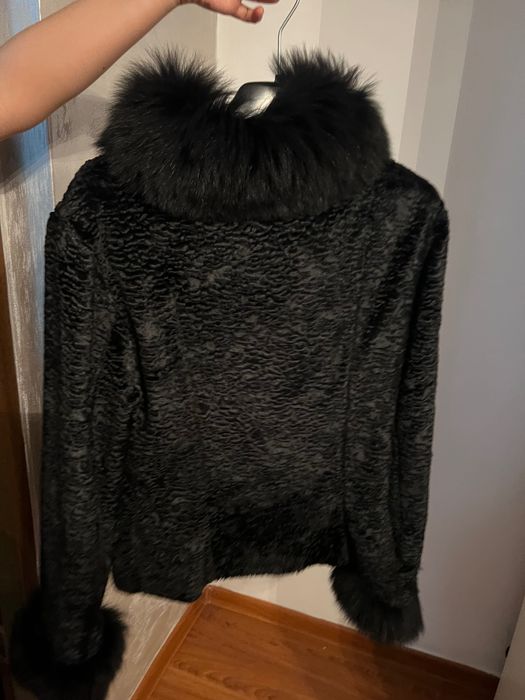 Gecuta blăniță elegantă