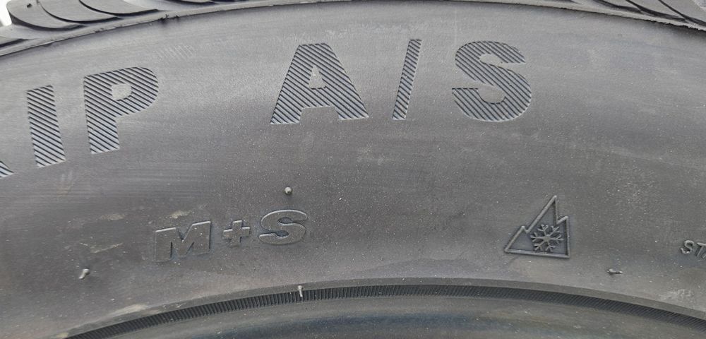 275/45 R21, 110W, GRIPMAX All Season XL, Anvelope all season M+S