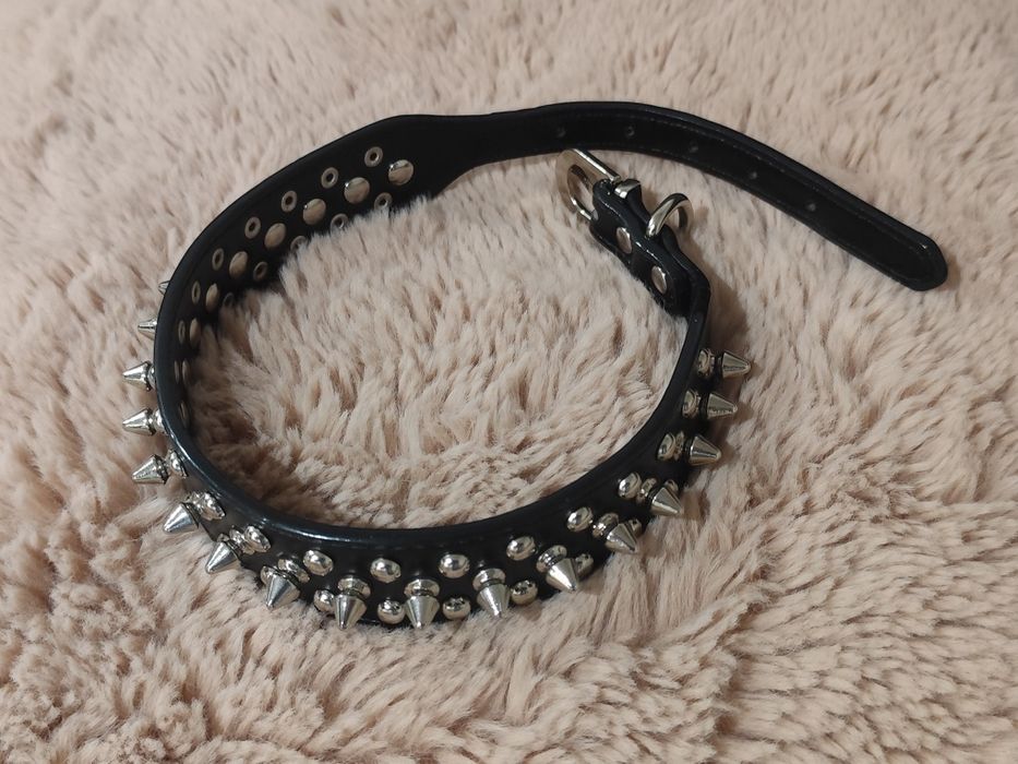 Zgarda cu tepi pentru caini