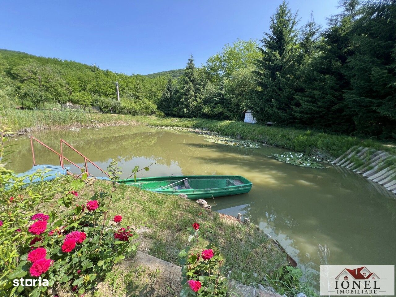 Casa de vacanta cu balta de peste in apropiere de Blaj