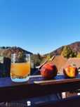 Must mere 100% natural Bran pasteurizat