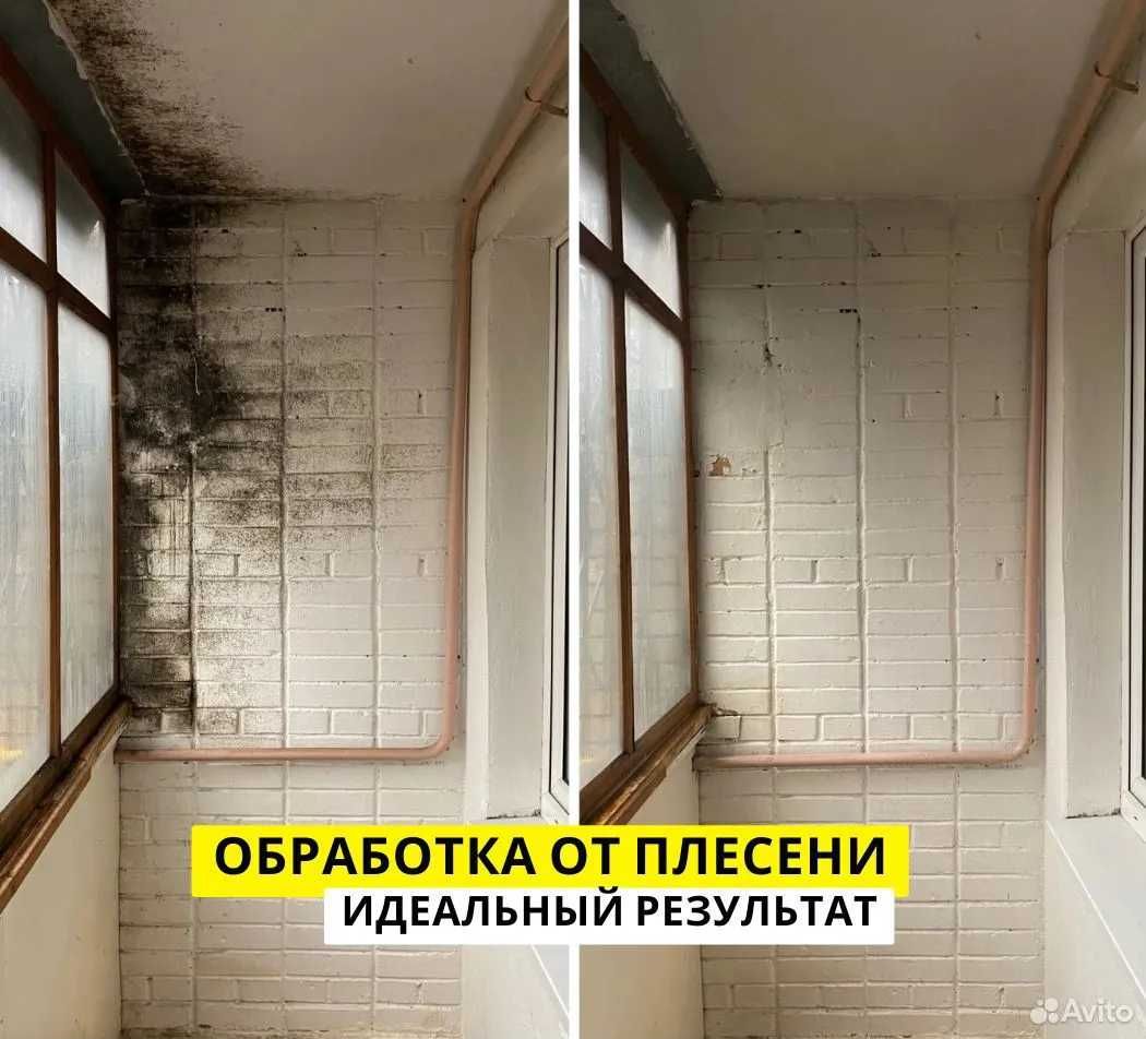 БЕСПЛАТНЫЙ туман * Dezinfeksia \ Дезинсекция \ Уничтожение клопов \ PD