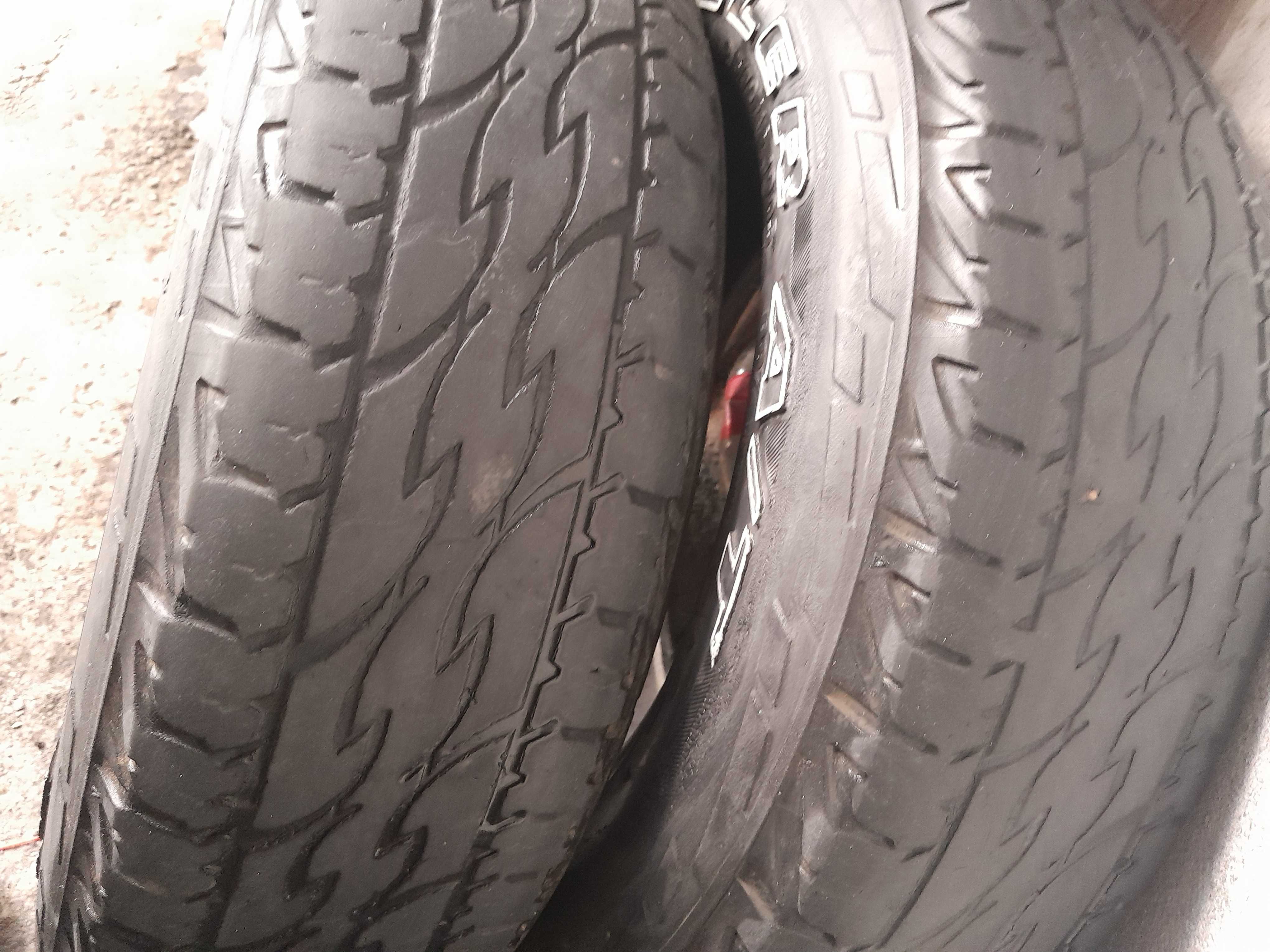 Шины Bridgestone