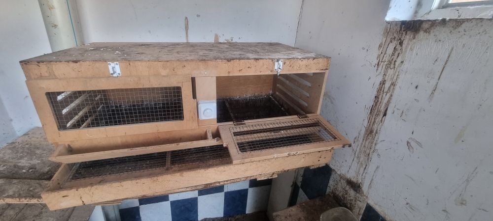 Брудер,  кормушка и домики для кур