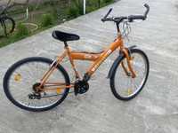 Biciclete import