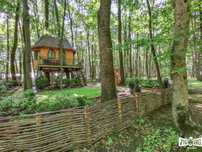 33.450mp Pădure de Stejar in Sălciua Nouă, Herneacova