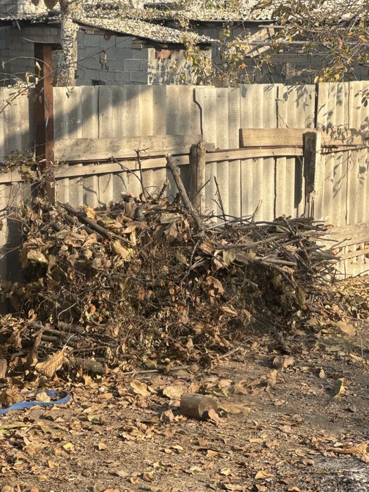 Отын Ағаш Дрова отын