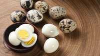 Перепелка яйцо 25 - 30  тенге