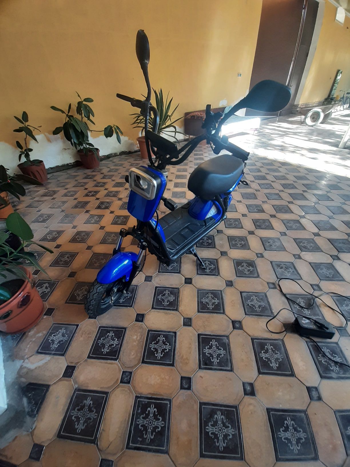 Sukuter sotiladi