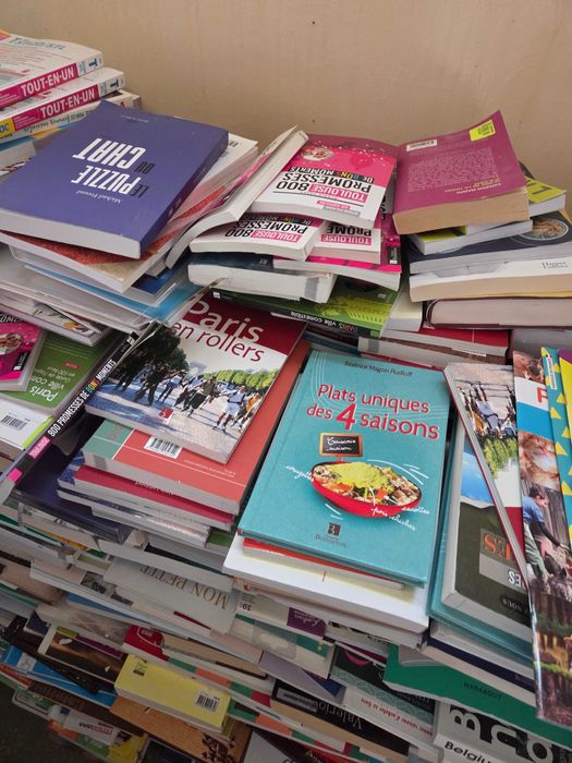 Carti in limba franceza