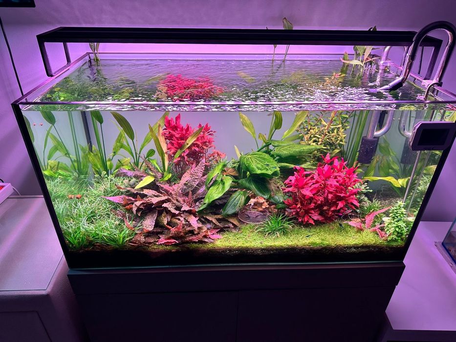 Аквариум на 180 литров