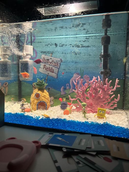 Аквариум очень красивый
