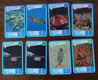 Colecție cartonașe Comorile Oceanelor