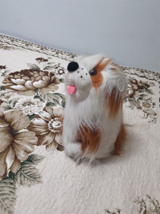 Продам собачку. Click, Uzum, PayMe!