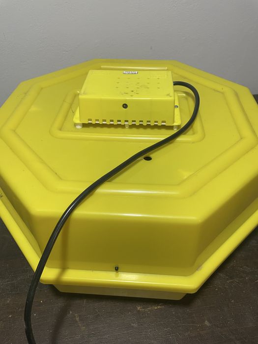 Incubator electric