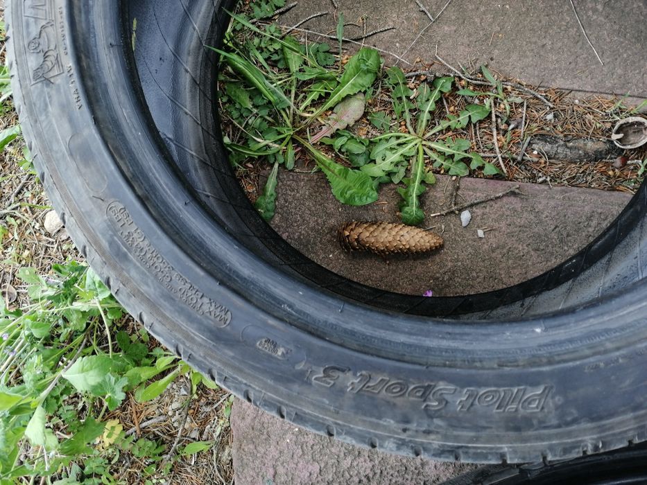 Гуми... Syron... Mishelin pilot