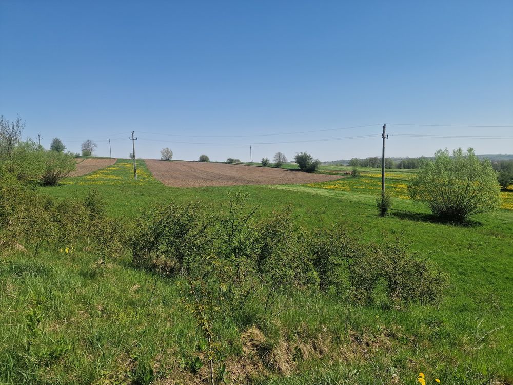 Vând/Schimb teren extravilan Cacica