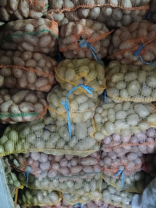 Vând cartofi consum