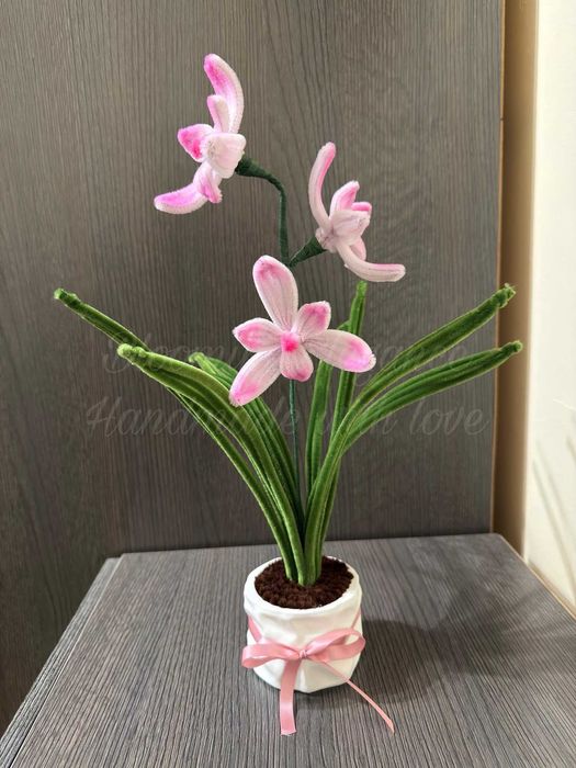 Вечна орхидея - символ на любов