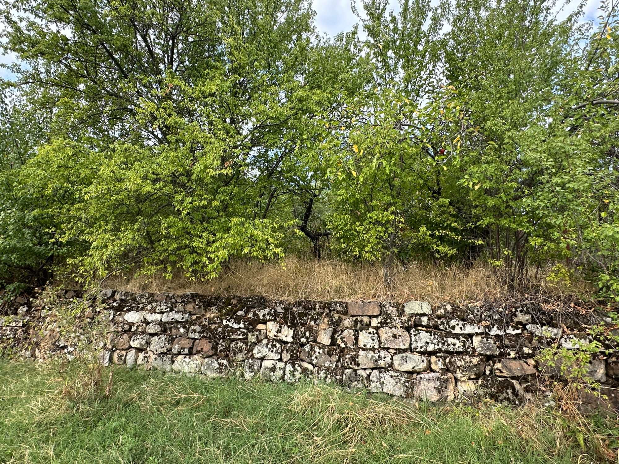 Парцел 1200 кв.м. двор УПИ с. Винище , община Монтана
