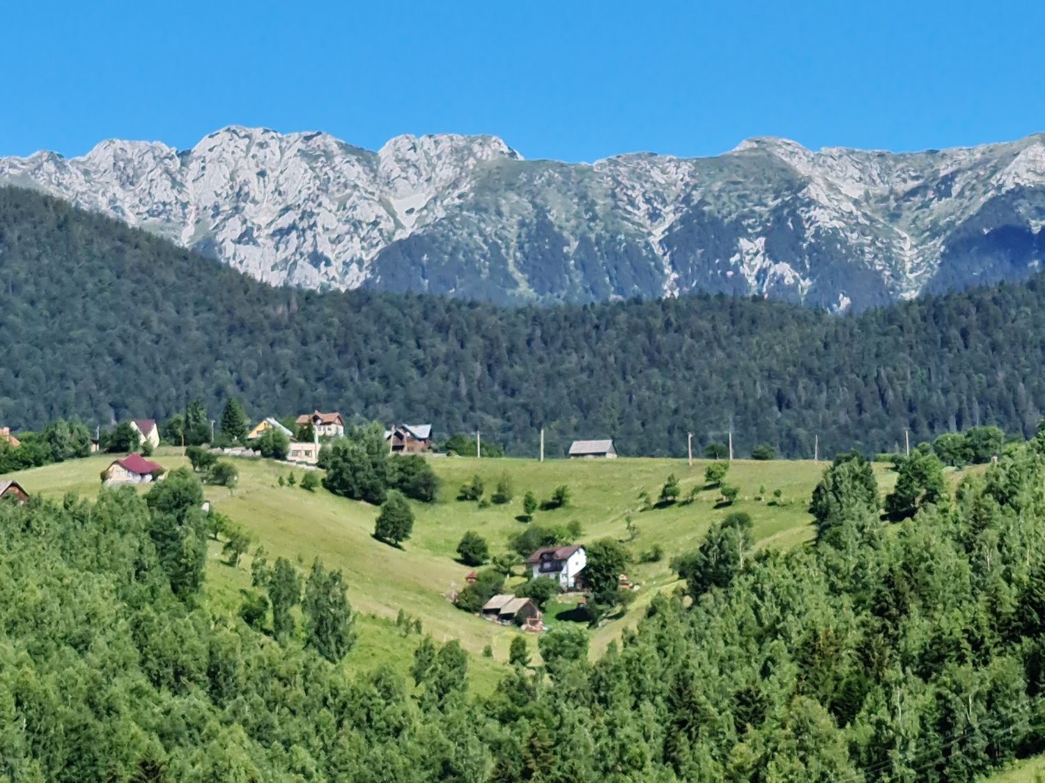 Teren la munte, la Peștera lângă Bran.