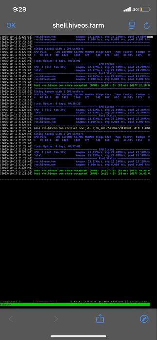 Rig Mining RX5700XT Sapphire Nitro+ 25mh/s