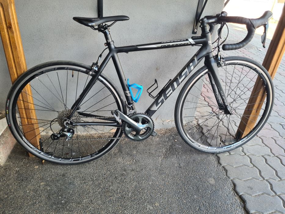 Cursiera Romagna sensa