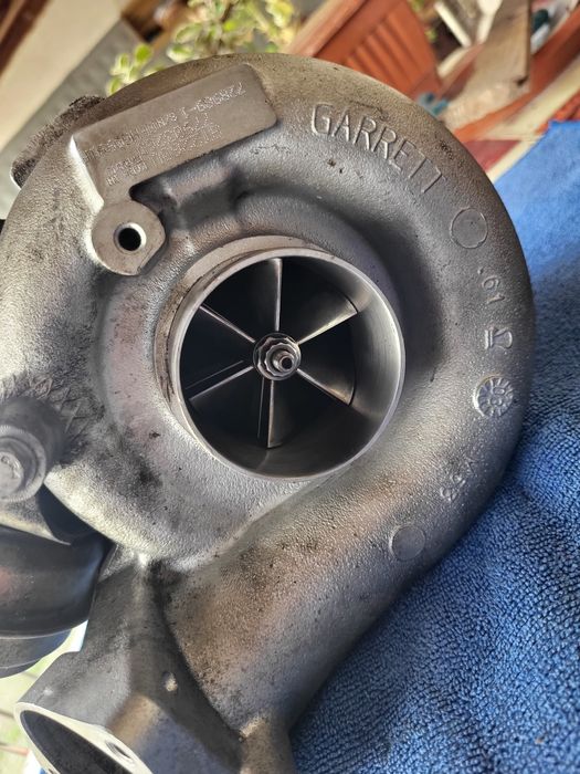 Двоен Хибрид 2565